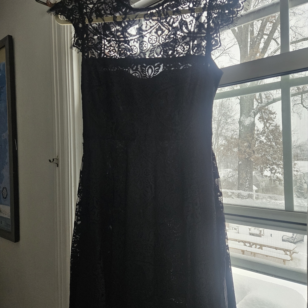 BB Dakota Navy Lace Long Sleeve Dress